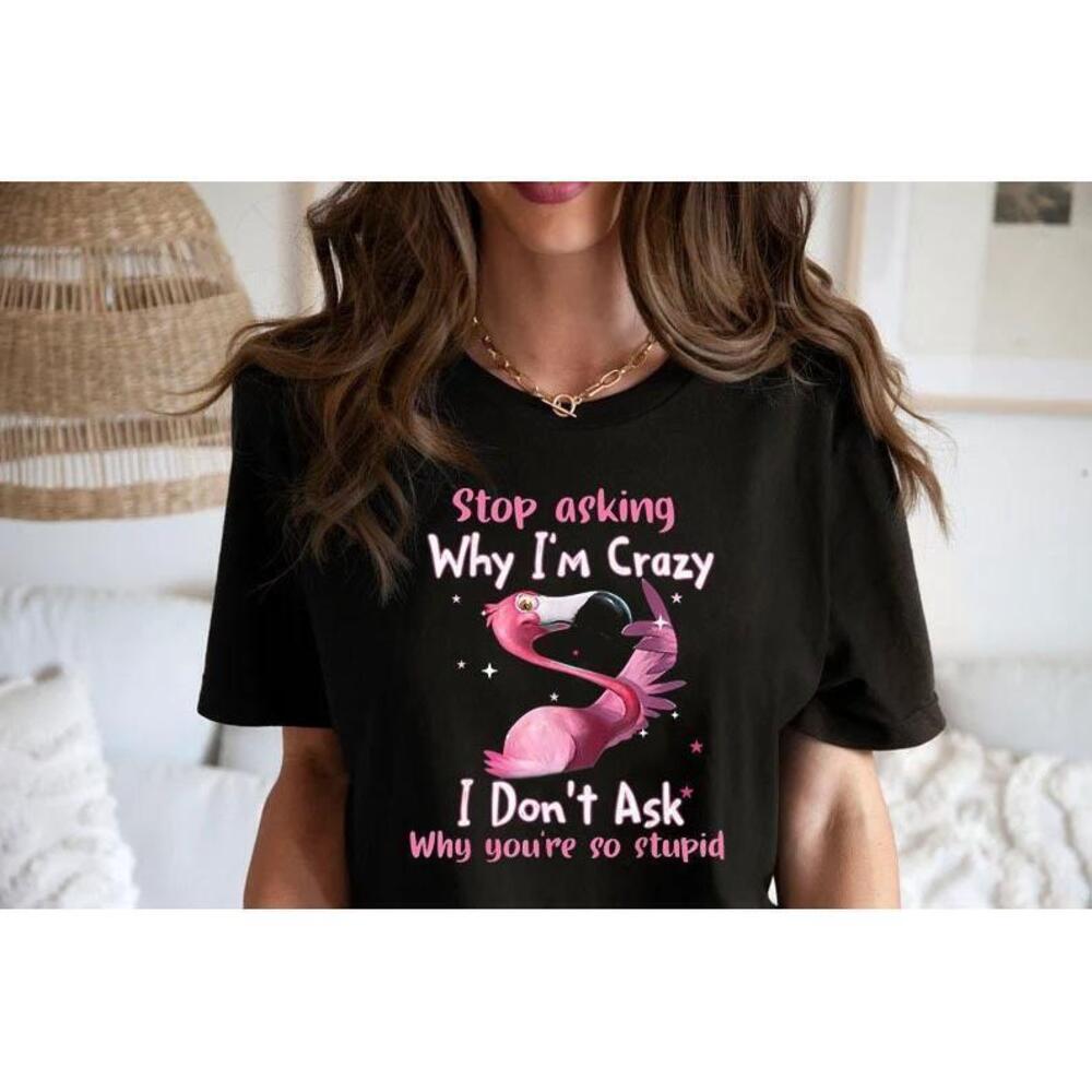 Funny Flamingo Stop Asking Why Im Crazy T Shirt